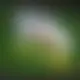 Zagraj Let It Ride z Playtech w {"id":20,"name":"Fezbet","design":{"logo":"fezbet-logo.bsWHXe.svg","favicon":"fezbet-favicon.XbBgfC.png","banner_poker":"fezbet-poker.qk3MlF.webp","banner_mobile":"fezbet-mobile.2lDW7A.webp","block_bg_color":"#78350f","image_bg_color":"#333","banner_bg_color":"#78350f","block_text_color":"#ffffff","primary_bg_color":"#382320","banner_text_color":"#fefce8","footer_logos_type":"white","block_round_radius":"0.75rem","primary_text_color":"#fefce8","button_round_radius":"9999px","banner_welcome_bonus":"fezbet-welcome-bonus.9aYhBY.webp","primary_button_bg_color":"#ea580c","primary_button_text_color":"#f4f4f5","secondary_button_bg_color":"#eab308","secondary_button_text_color":"#52525b"},"created_at":"2025-05-14T09:25:22.000000Z","updated_at":"2025-05-14T09:25:22.000000Z","deleted_at":null}